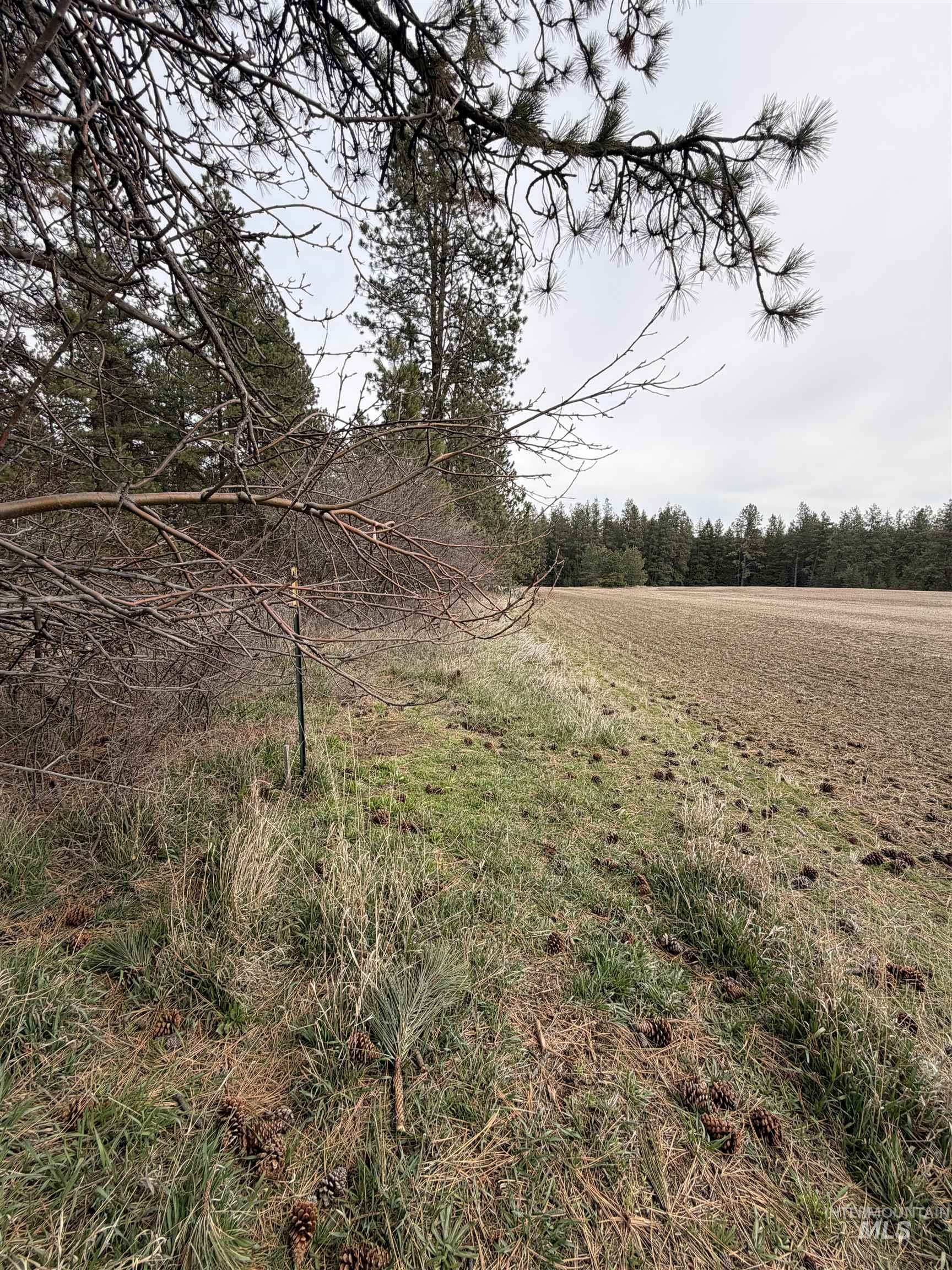 Tbd Sandhill Road Winchester, ID 83555 - Photo 23 of 25 View of yard featuring a rural view