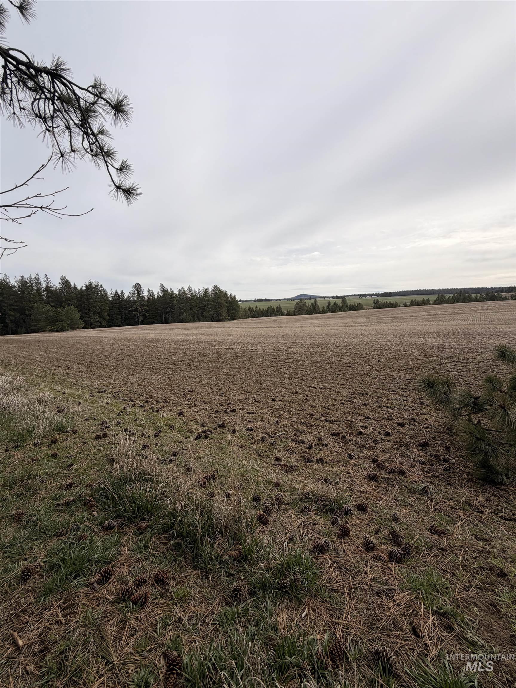 Tbd Sandhill Road Winchester, ID 83555 - Photo 24 of 25 View of undeveloped land featuring rural landscape