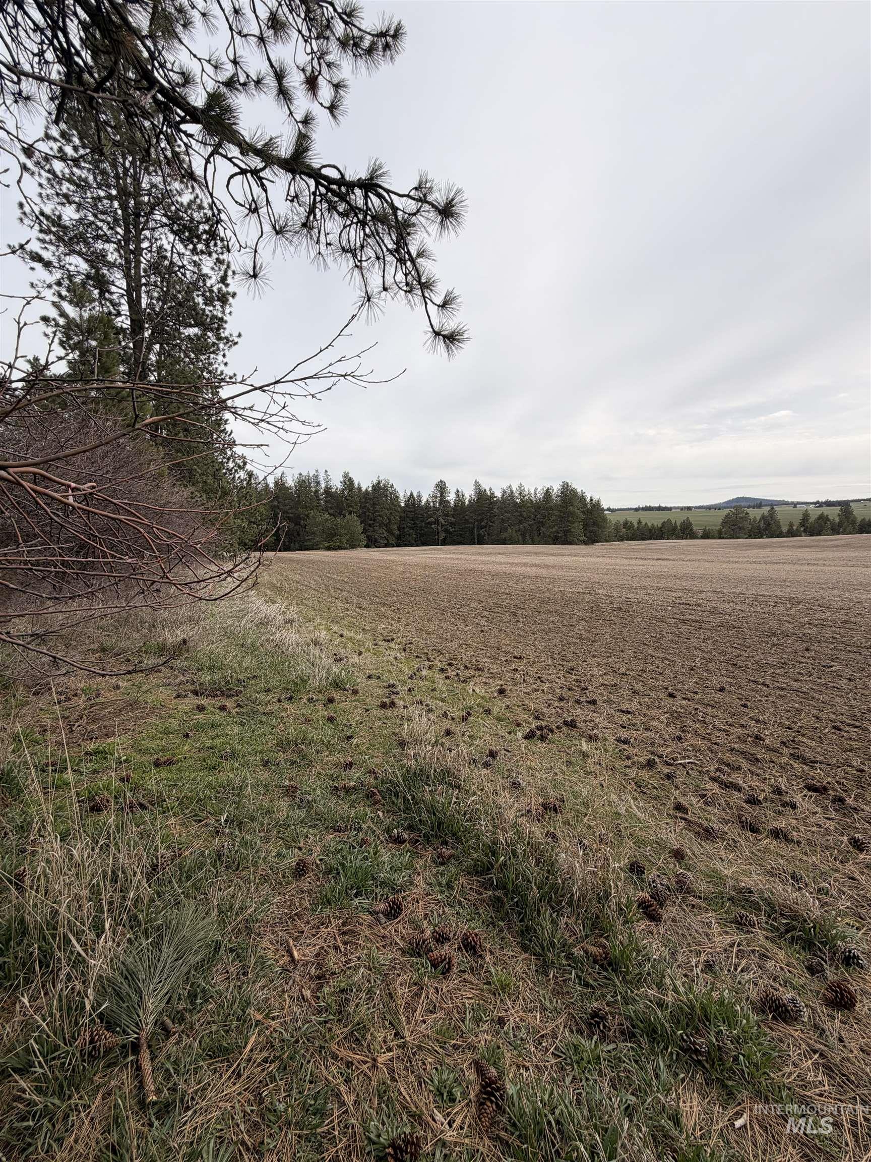 Tbd Sandhill Road Winchester, ID 83555 - Photo 25 of 25 View of nature featuring rural landscape