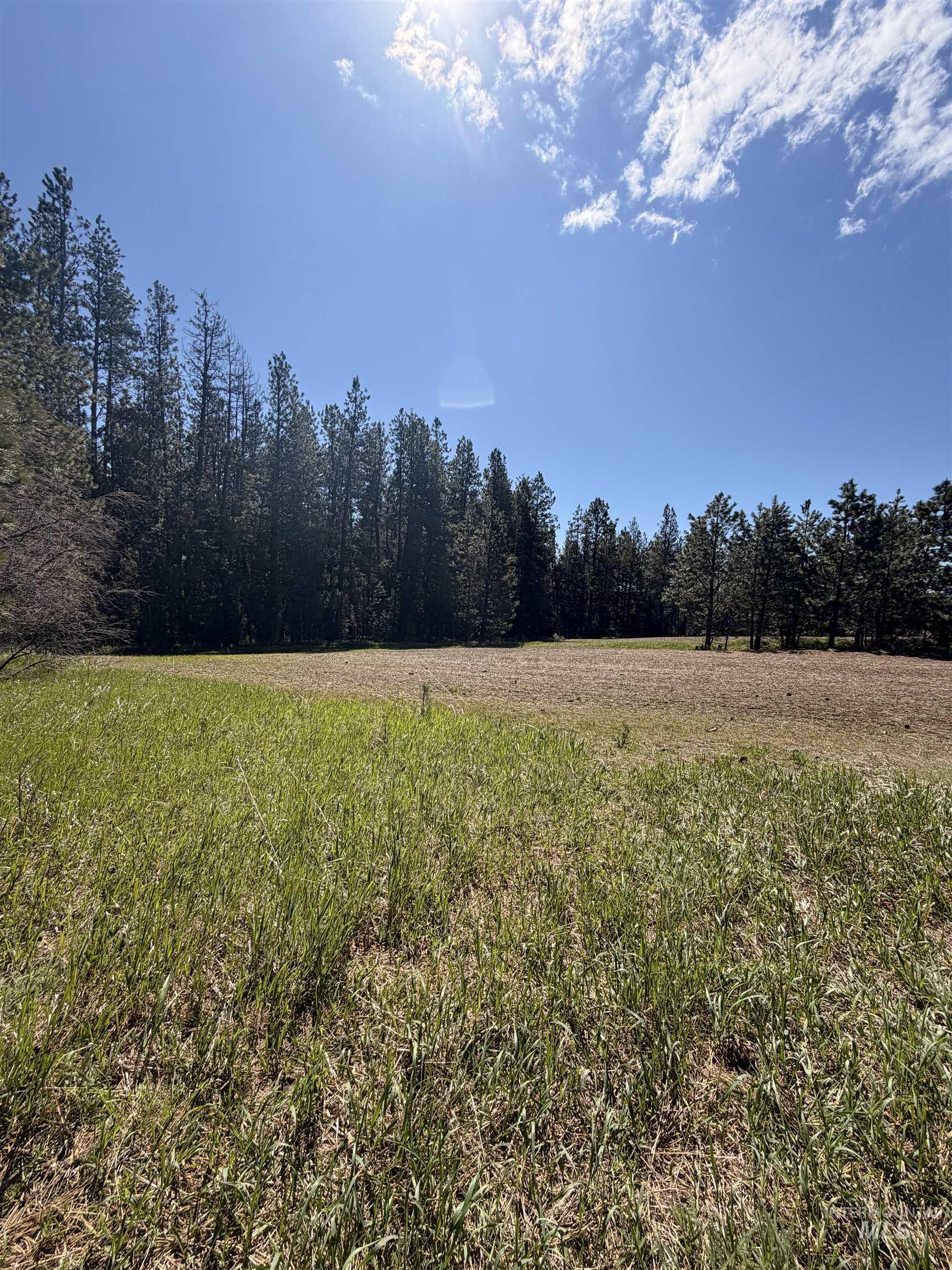 Tbd Sandhill Road Winchester, ID 83555 - Photo 30 of 30