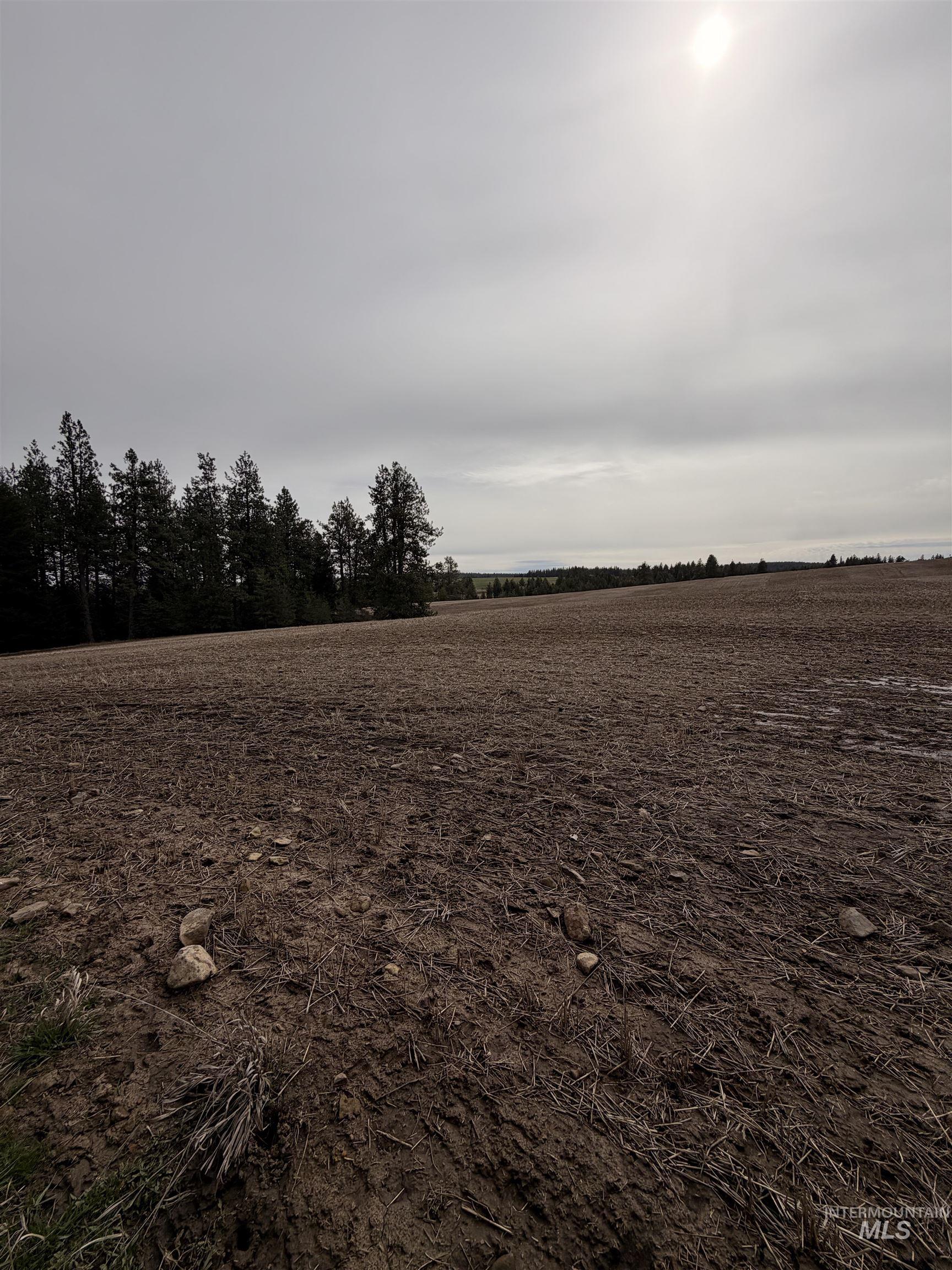 Tbd Sandhill Road Winchester, ID 83555 - Photo 6 of 25 View of nature featuring rural landscape