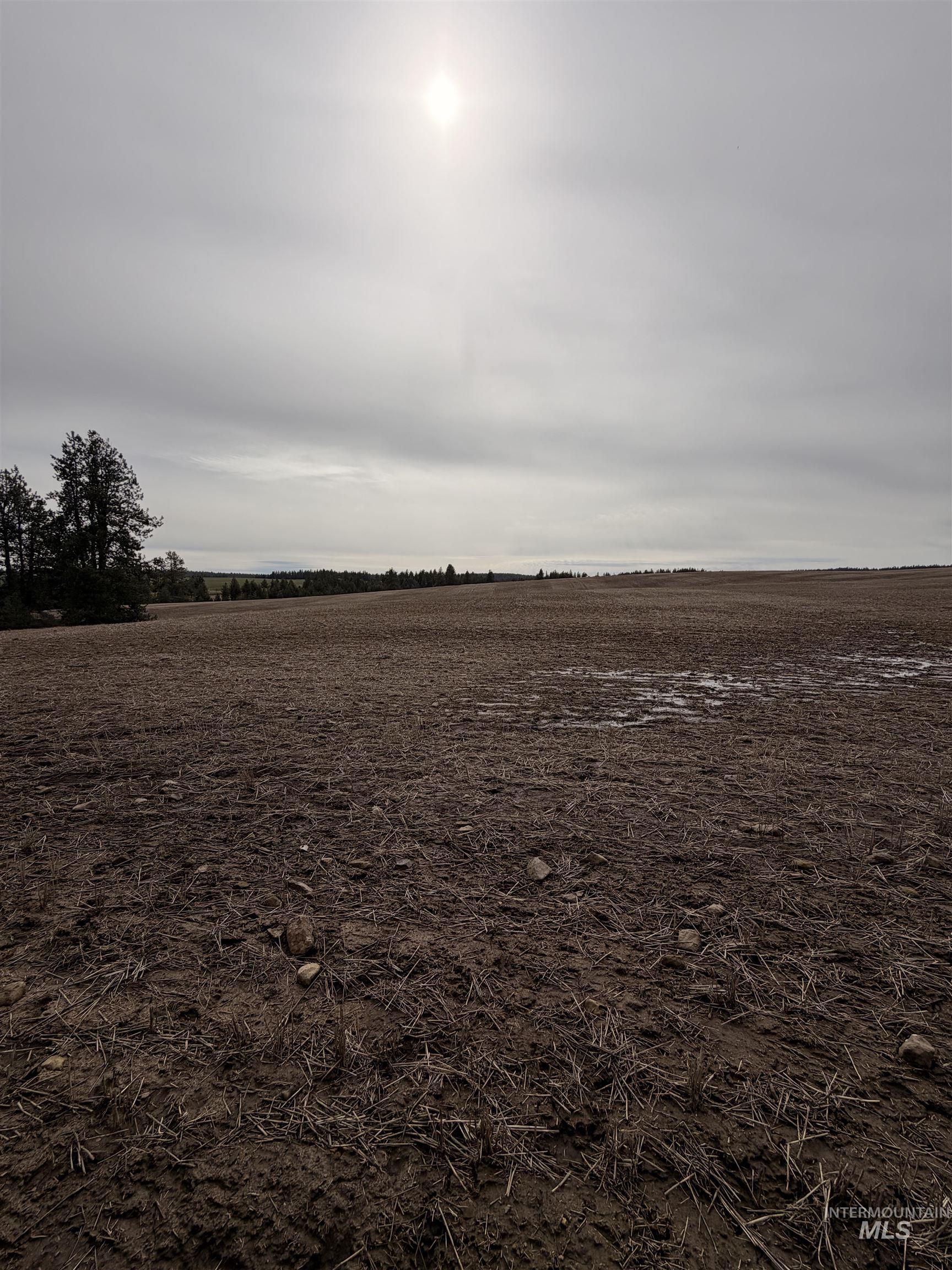 Tbd Sandhill Road Winchester, ID 83555 - Photo 7 of 25 View of nature featuring rural landscape