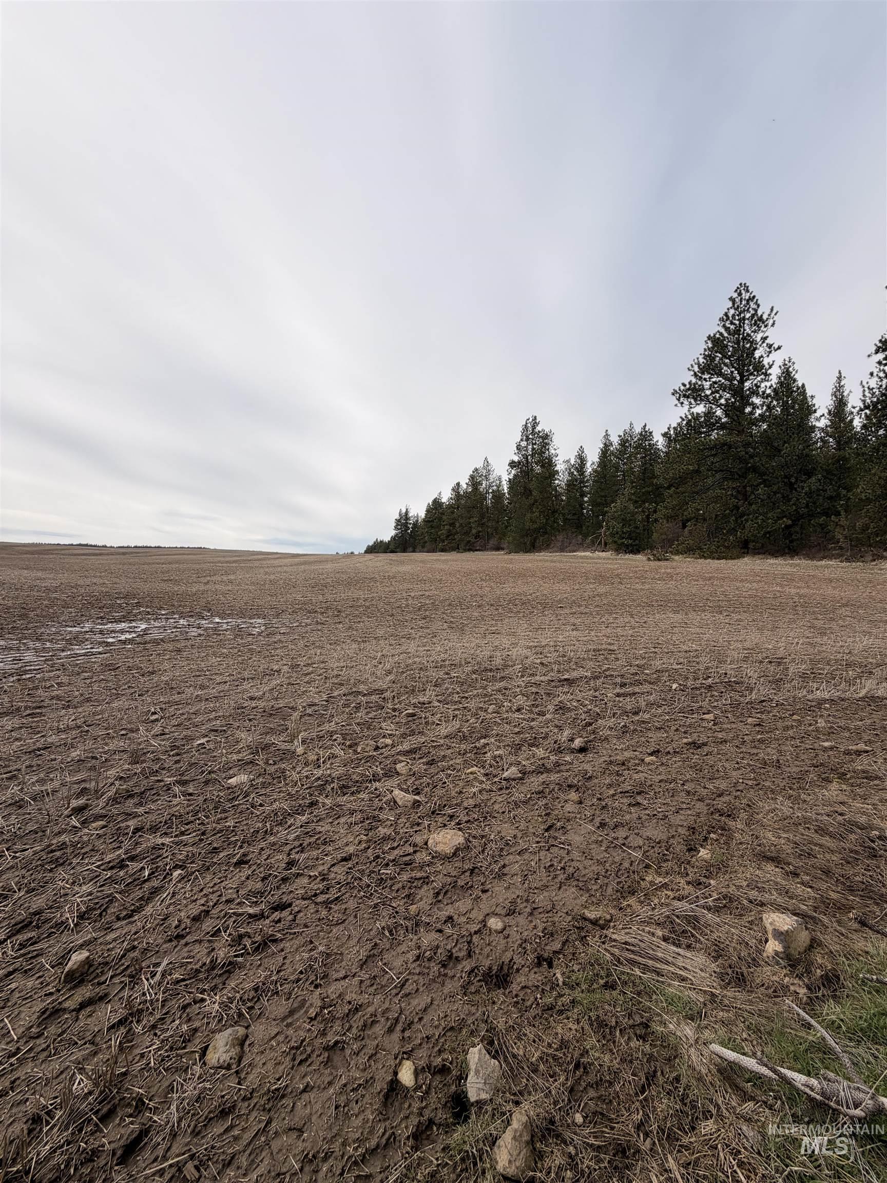 Tbd Sandhill Road Winchester, ID 83555 - Photo 8 of 25 View of nature featuring rural landscape