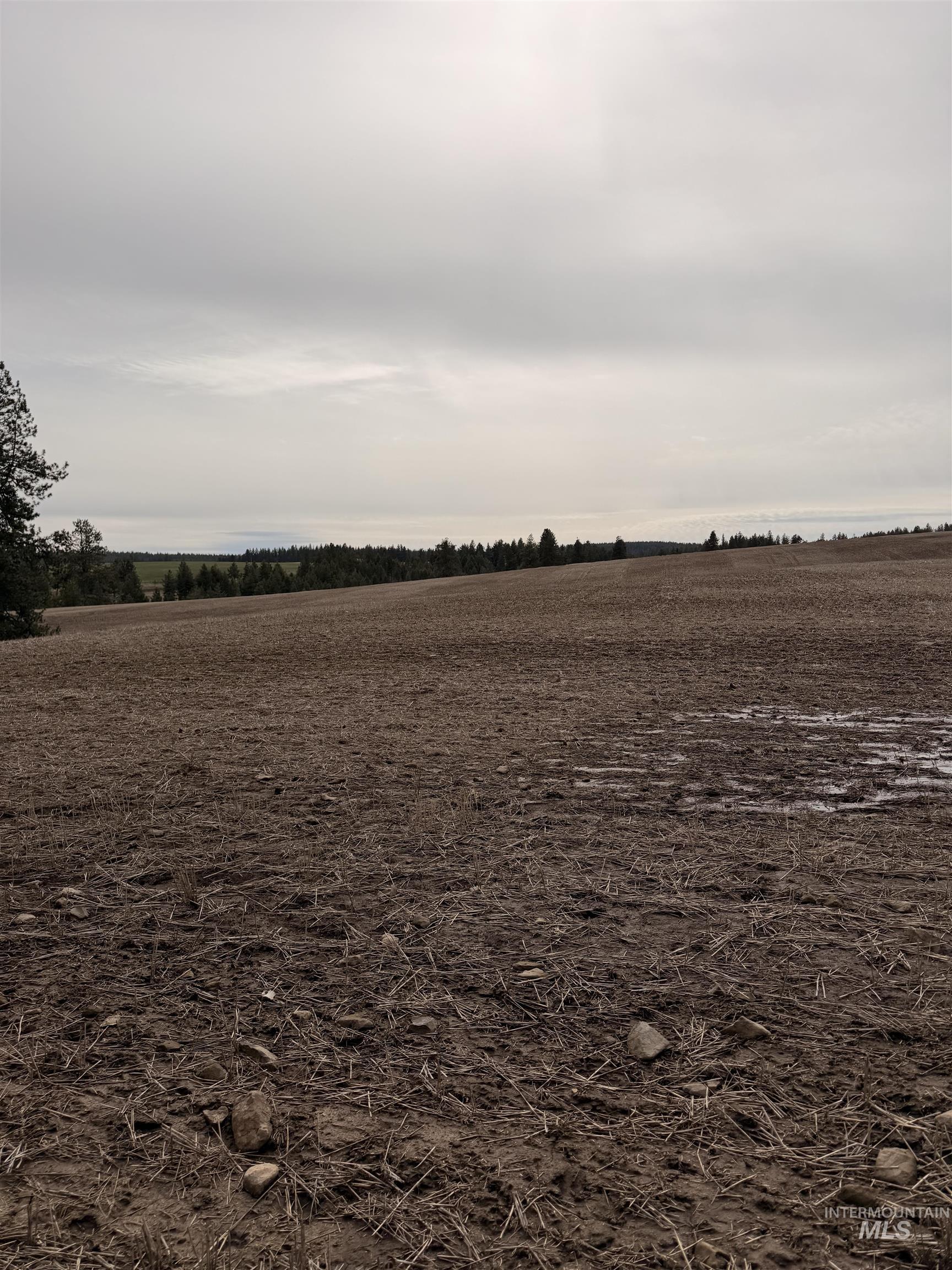 Tbd Sandhill Road Winchester, ID 83555 - Photo 9 of 25 View of nature with rural landscape