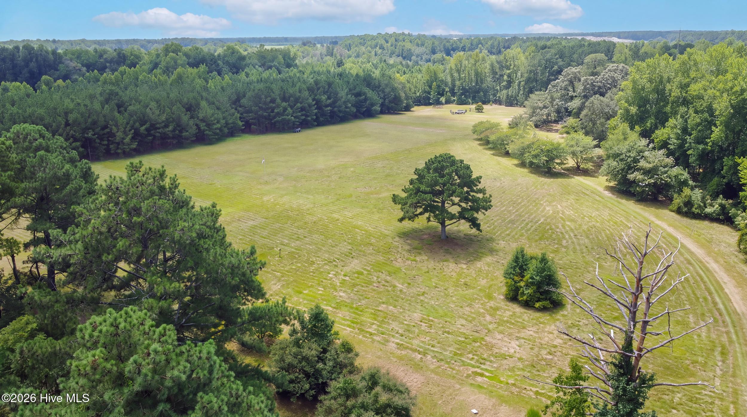 5397 Dilda Church Road Fountain, NC 27829 - Photo 29 of 73 29_drone for frank-3_reedit_f8554c51