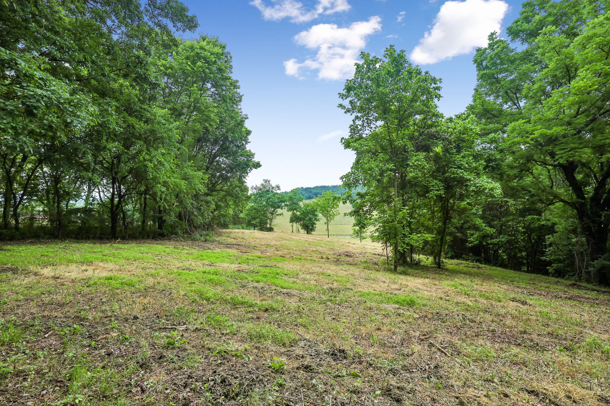 0 Hix Road Gordonsville, TN 38563 - Photo 19 of 37