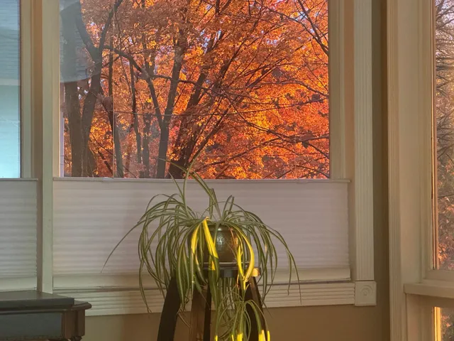 $229,900 | 338 South Jefferson Street, St. Croix Falls, WI 54024