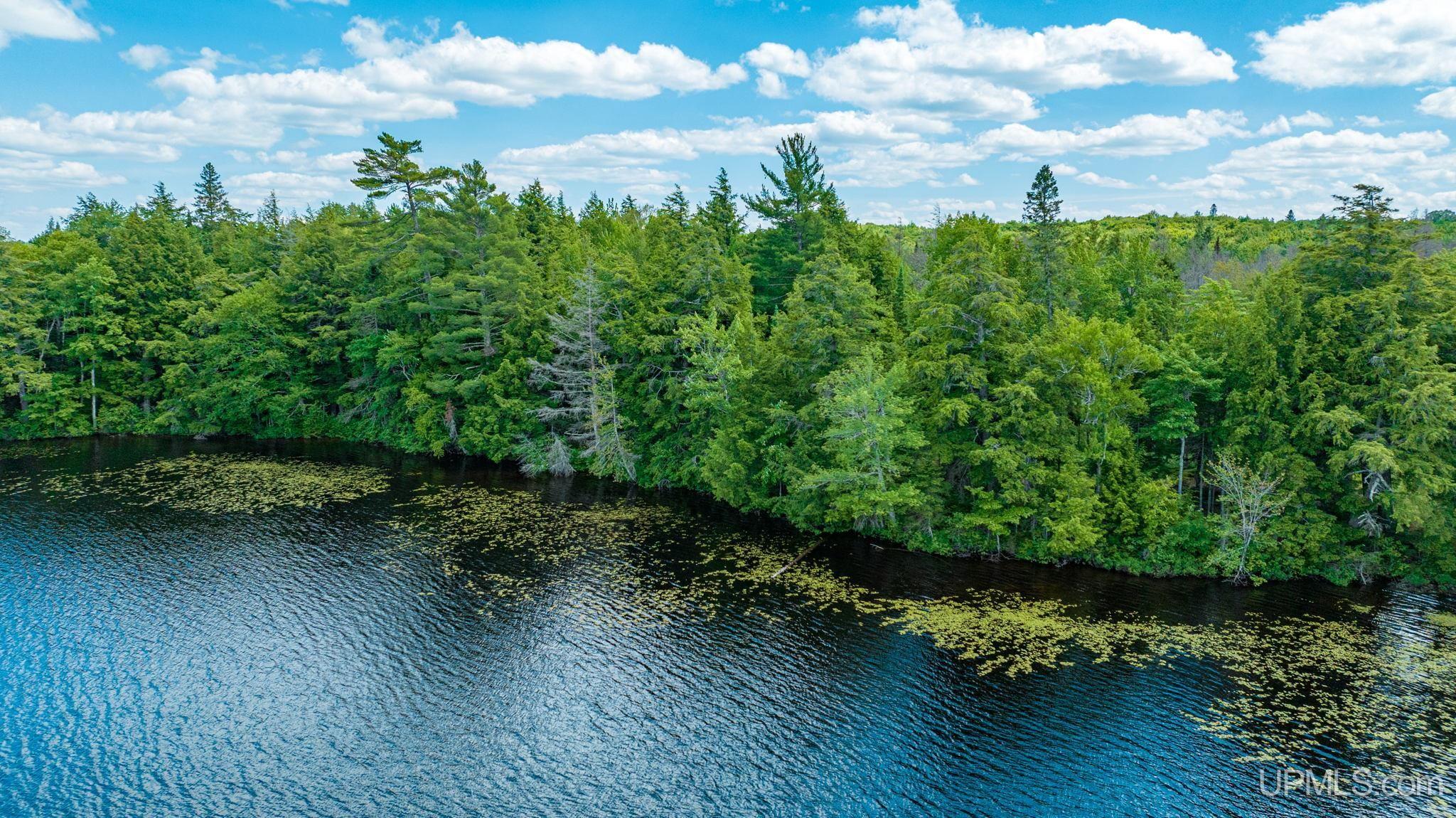 Tbd Tbd En-a-wen-da-win Road Watersmeet, MI 49969 - Photo 27 of 35