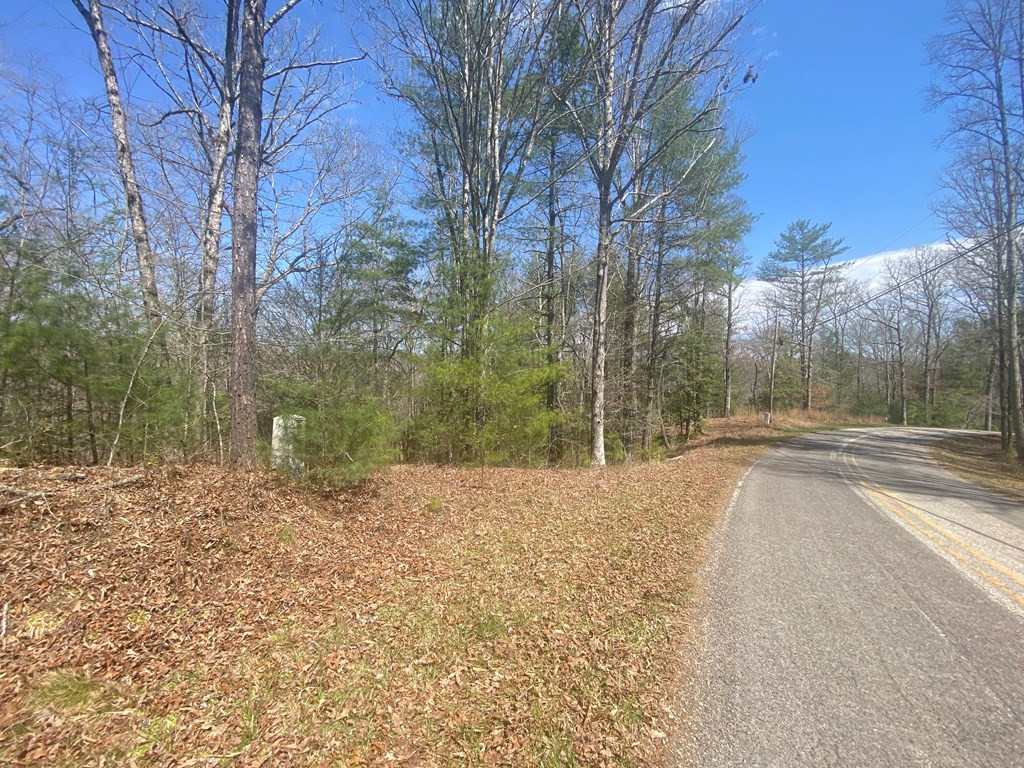 0 Hilltop Road Murphy, NC 28906 - Photo 13 of 16