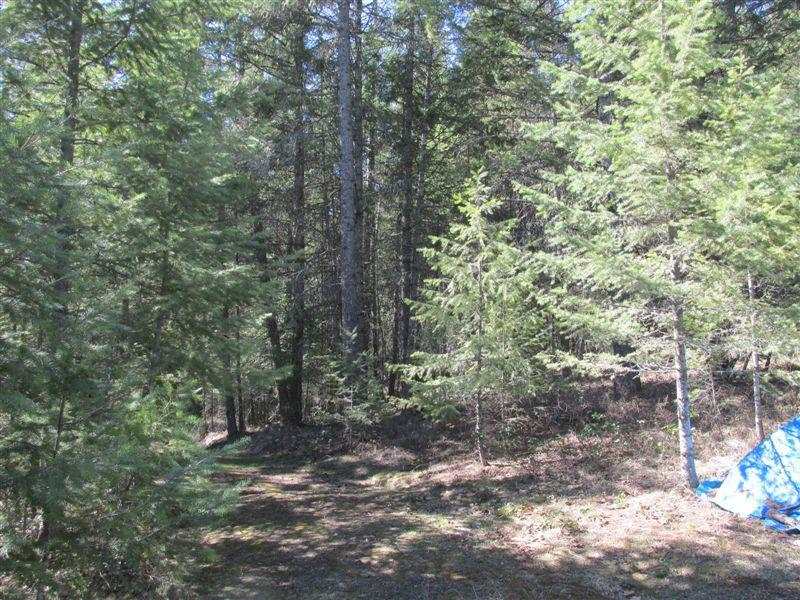 2242 Cedonia-Addy Road Addy, WA 99101 - Photo 18 of 20