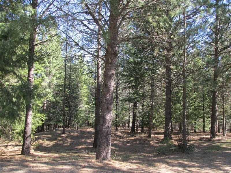 2242 Cedonia-Addy Road Addy, WA 99101 - Photo 19 of 20