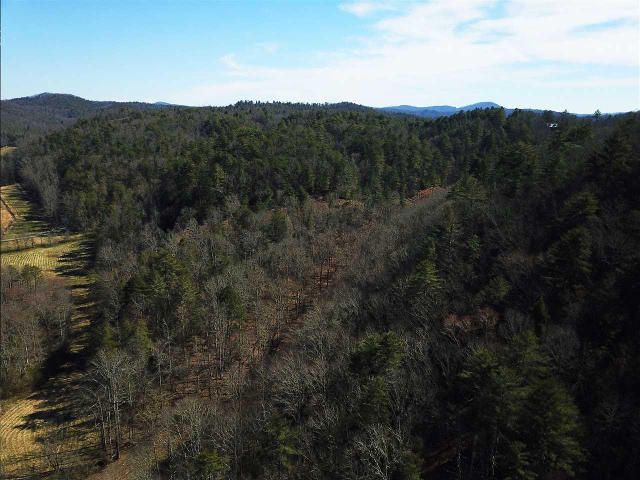 0 Towee Pike Reliance, TN 37369 - Photo 33 of 41