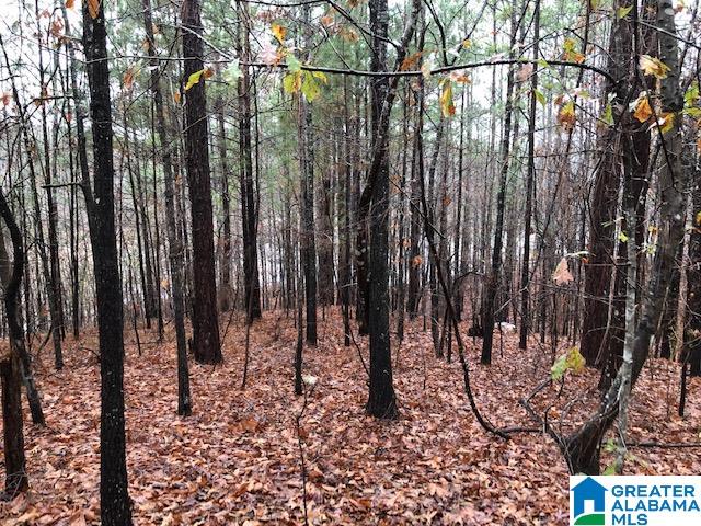 0 Lakeside Lane, Unit 31 Alpine, AL 35014 - Photo 40 of 42