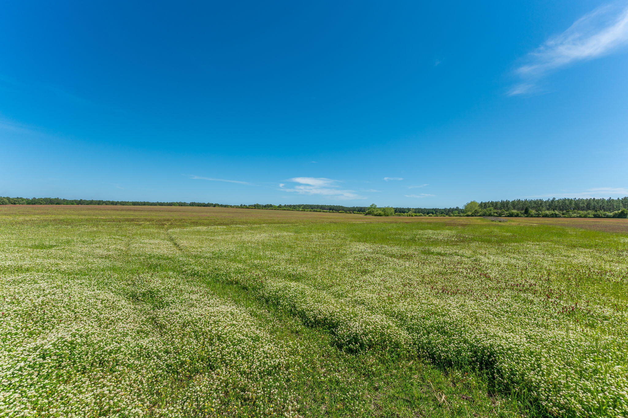 Parcel B Adams Drive DeFuniak Springs, FL 32433 - Photo 11 of 23 a view of an ocean