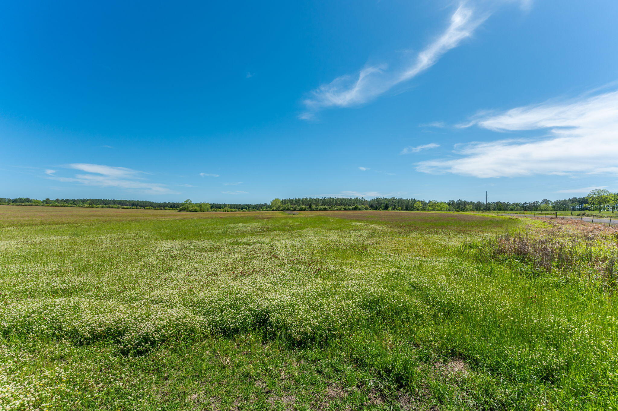 Parcel B Adams Drive DeFuniak Springs, FL 32433 - Photo 12 of 23 a view of an ocean