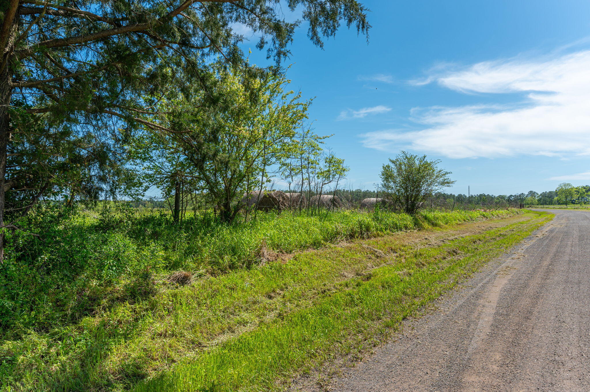 Parcel B Adams Drive DeFuniak Springs, FL 32433 - Photo 15 of 23 a view of a lake with a yard