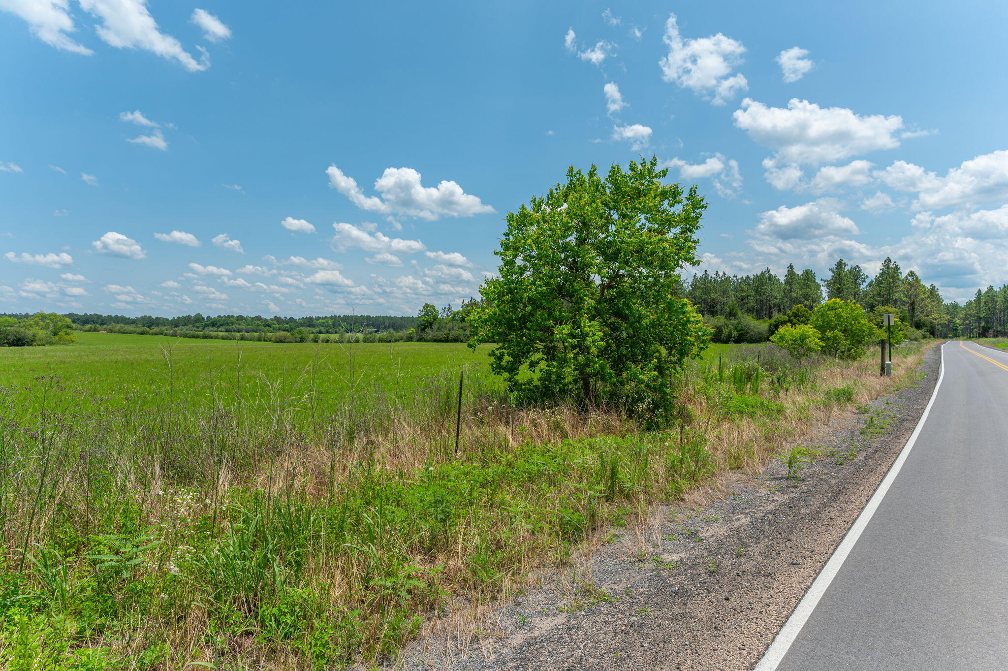 Parcel B Adams Drive DeFuniak Springs, FL 32433 - Photo 21 of 23 a view of a lake from a yard