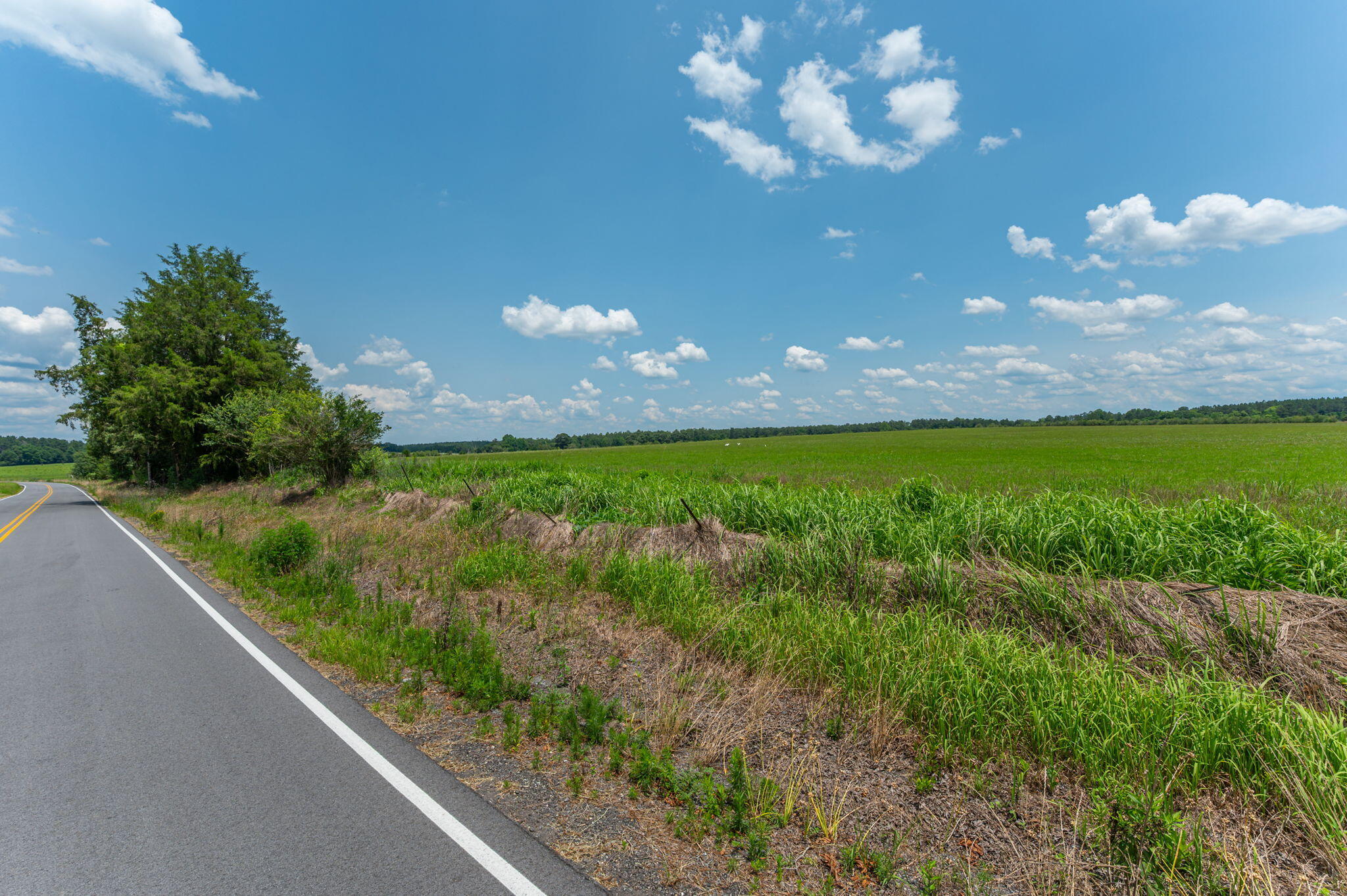 Parcel B Adams Drive DeFuniak Springs, FL 32433 - Photo 23 of 23 a view of a yard with a tree