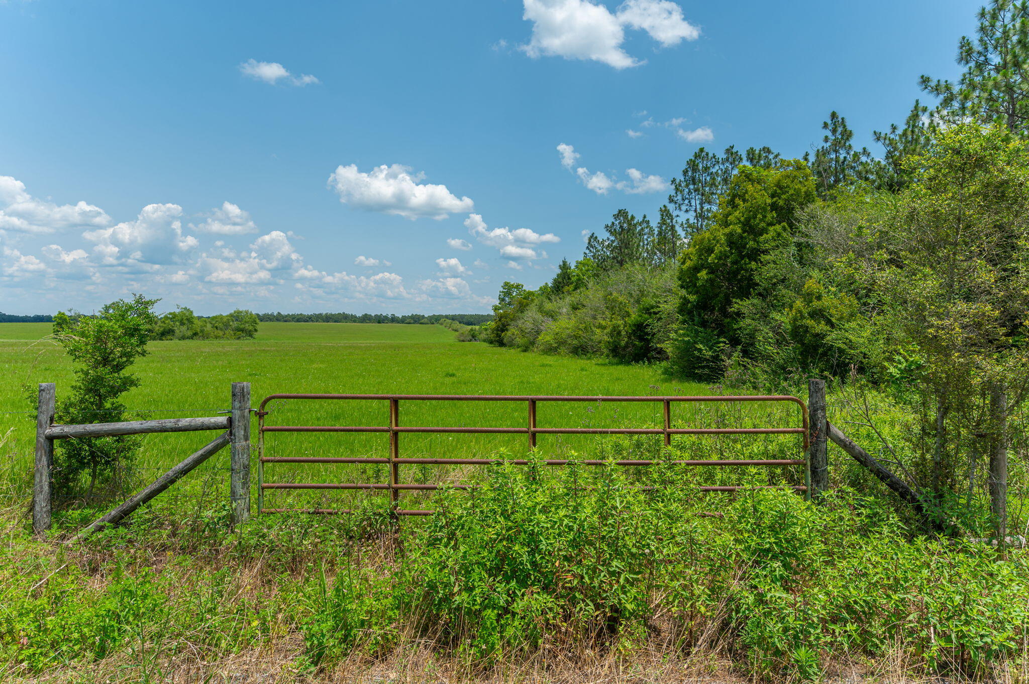 Parcel B Adams Drive DeFuniak Springs, FL 32433 - Photo 6 of 23 a view of a yard with an outdoor space