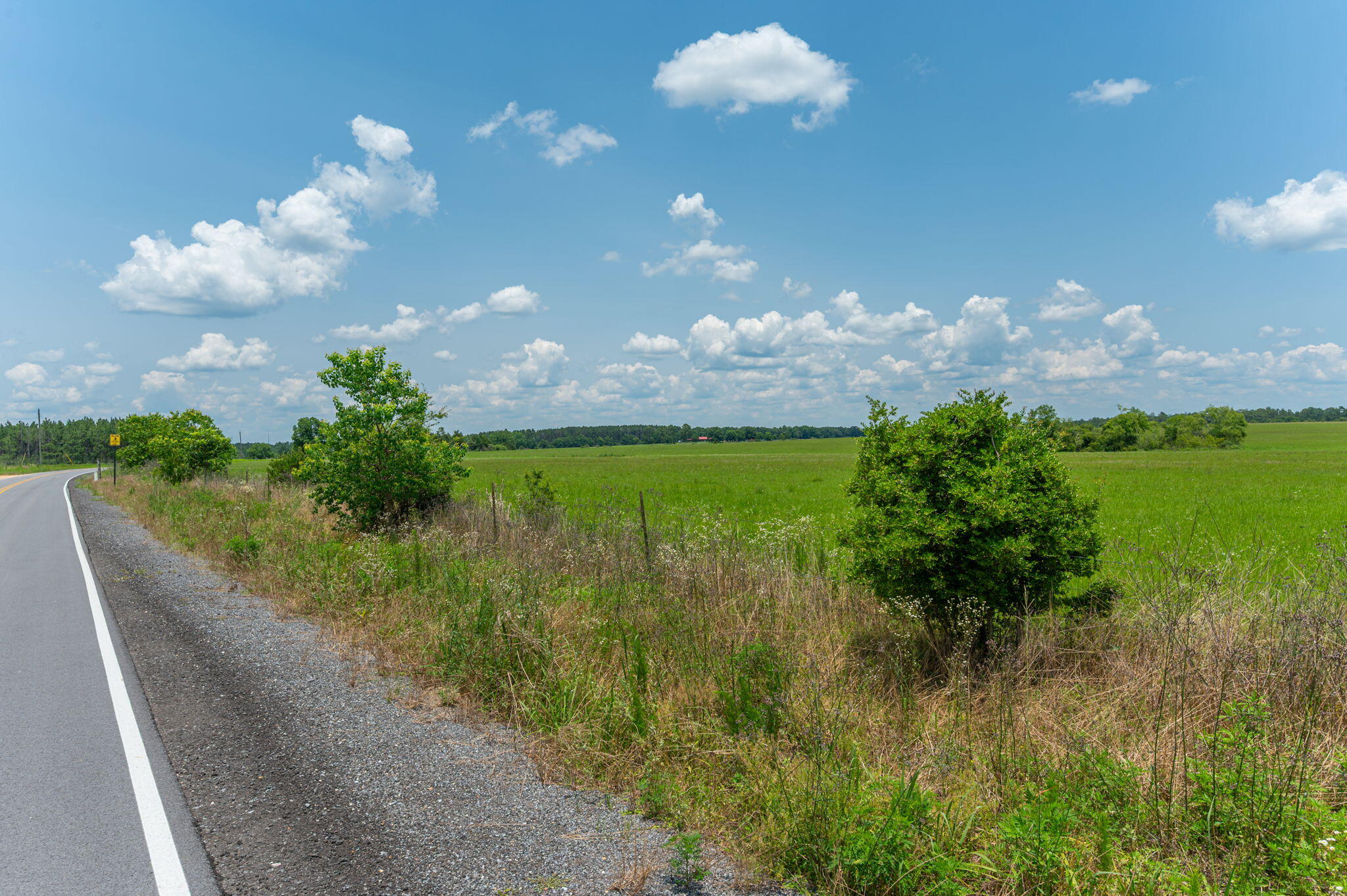 Parcel B Adams Drive DeFuniak Springs, FL 32433 - Photo 8 of 23 a view of a lake from a yard