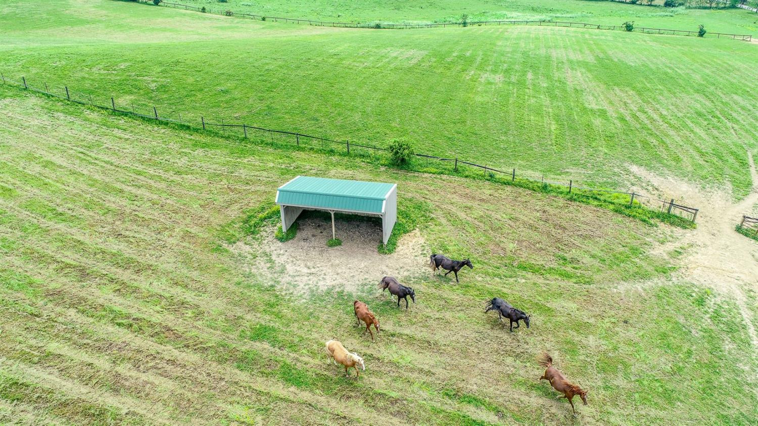 735 College Road Paris, KY 40361 - Photo 4 of 32 Photo 4