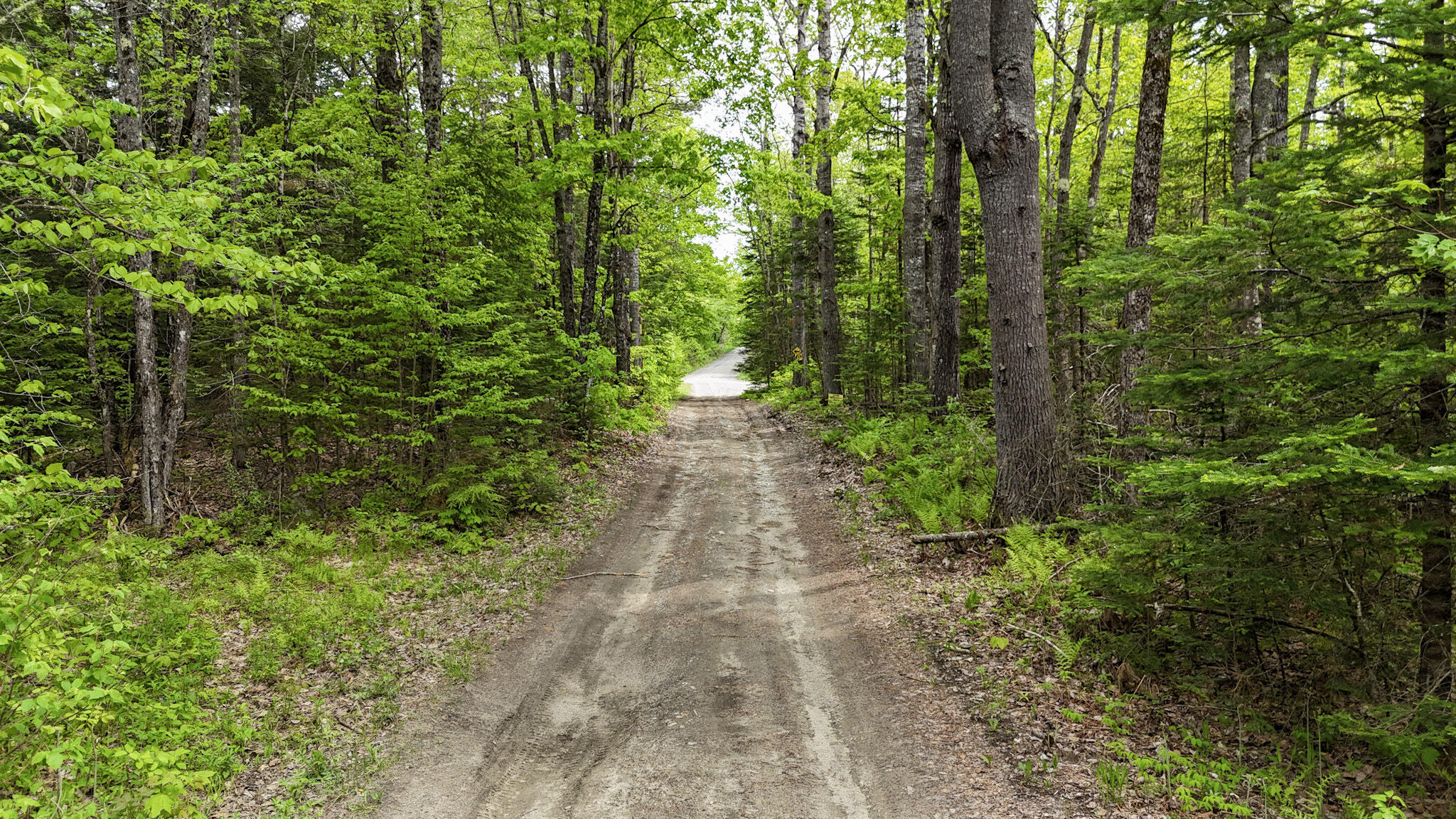 Lot 5 Stream Road Vienna, ME 04360 - Photo 9 of 17 Road in