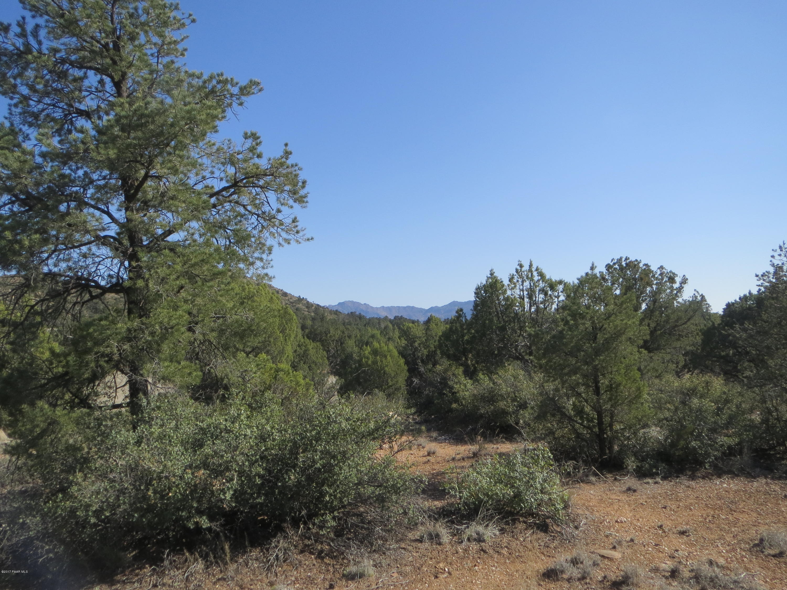 5125 West Three Forks Road Prescott, AZ 86305 - Photo 4 of 19 Homesite