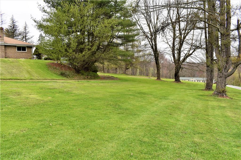 563 Steiner Bridge Road Valencia, PA 16059 - Photo 3 of 21 Side yard and driveway to garages behind the house.