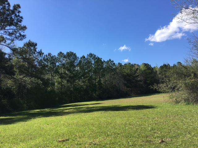 48-acres Charles Rushing Road Ponce de Leon, FL 32455 - Photo 3 of 9 Gallery Image 3