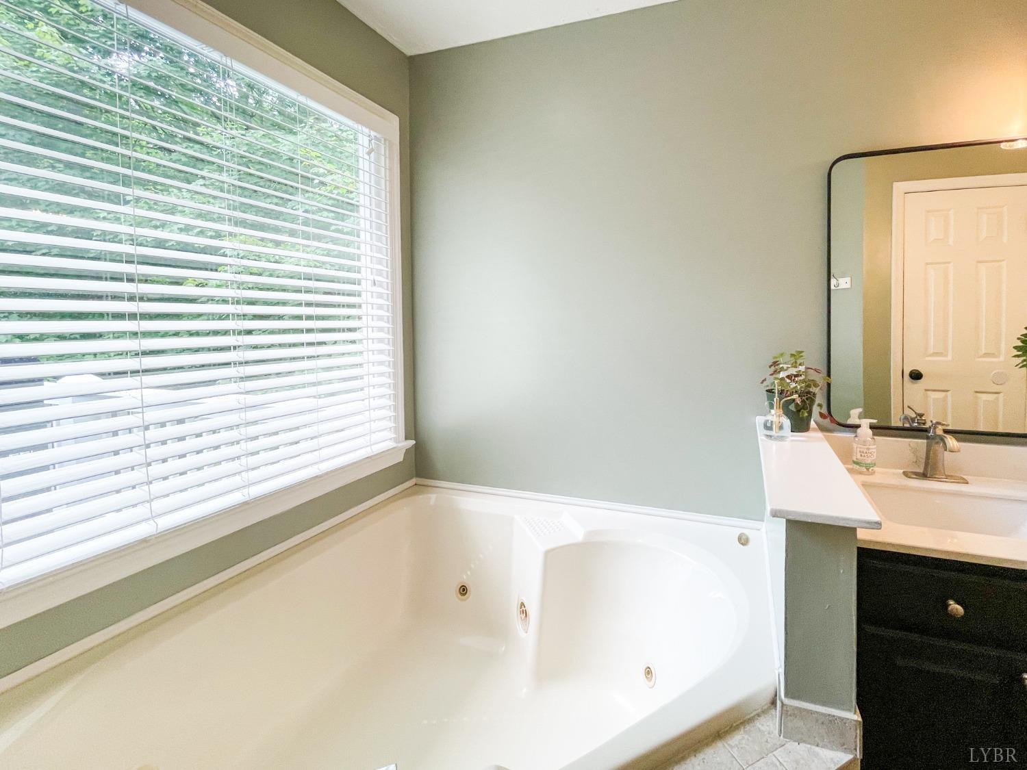 4512 Roaring Run Road Goode, VA 24556 - Photo 32 of 54 a bathroom with a bathtub and a sink