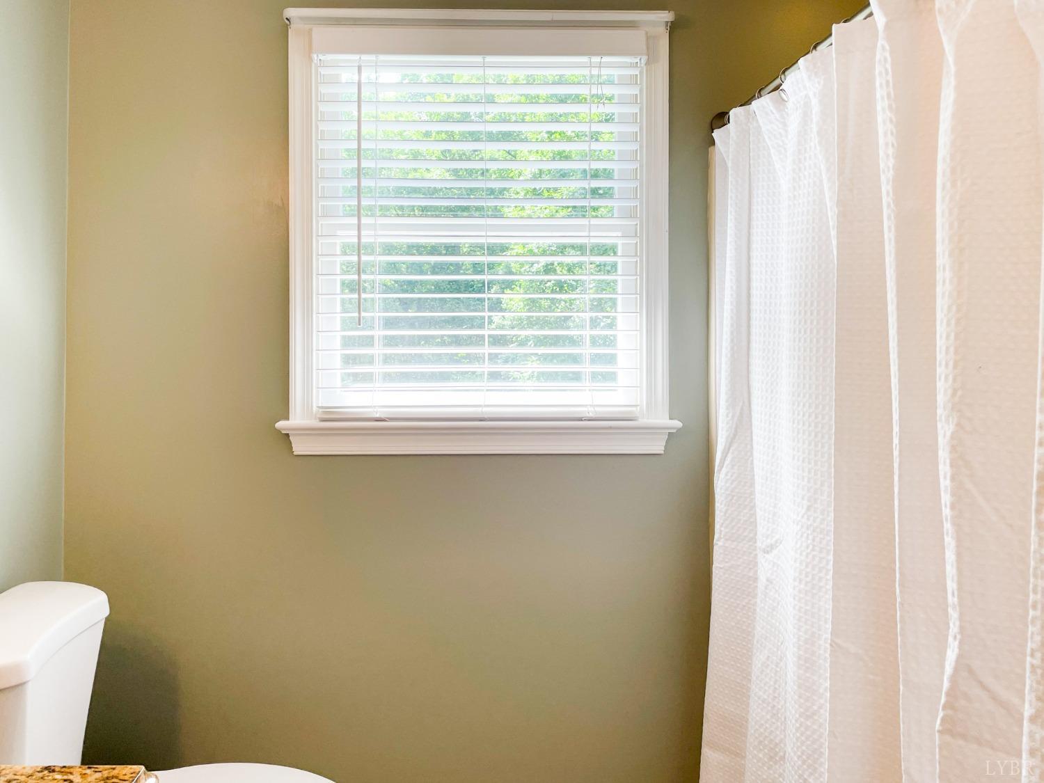 4512 Roaring Run Road Goode, VA 24556 - Photo 38 of 54 a bathroom with a window and a toilet