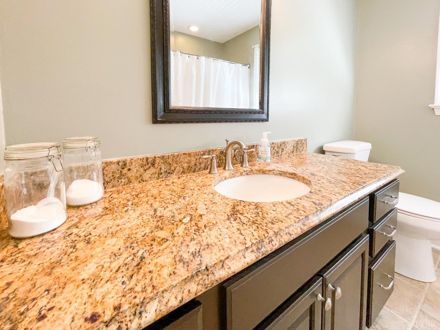 4512 Roaring Run Road Goode, VA 24556 - Photo 39 of 54 a bathroom with a granite countertop sink a toilet and a mirror