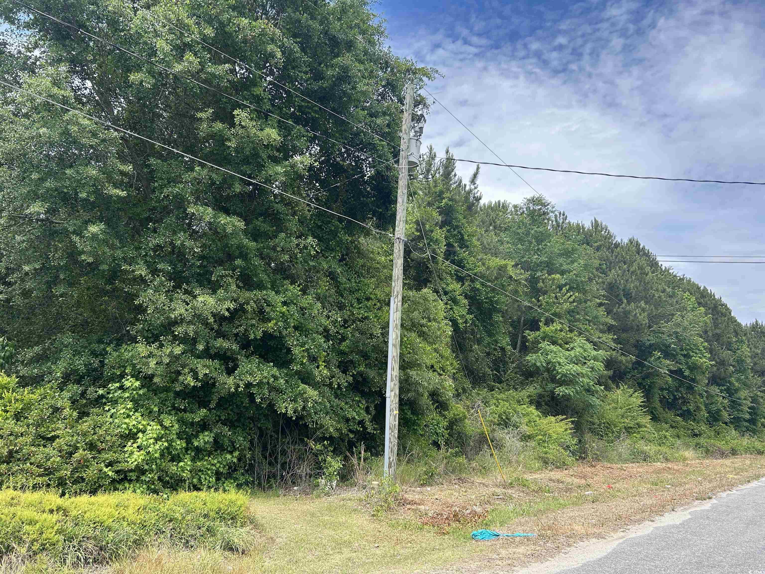 Tbd Tbd Carver Hall Road Dillon, SC 29536 - Photo 2 of 9 View of asphalt street with a view of trees