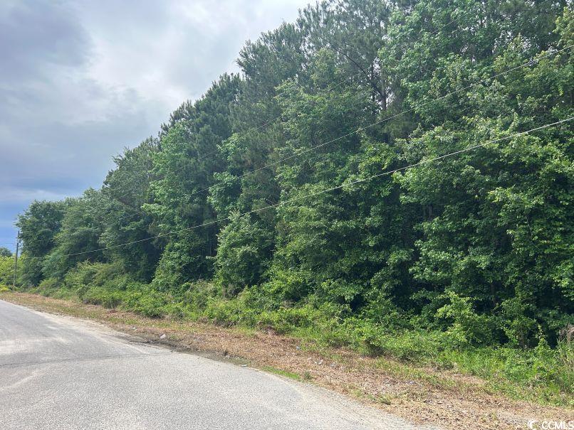 Tbd Tbd Carver Hall Road Dillon, SC 29536 - Photo 5 of 9 View of asphalt street with a wooded view