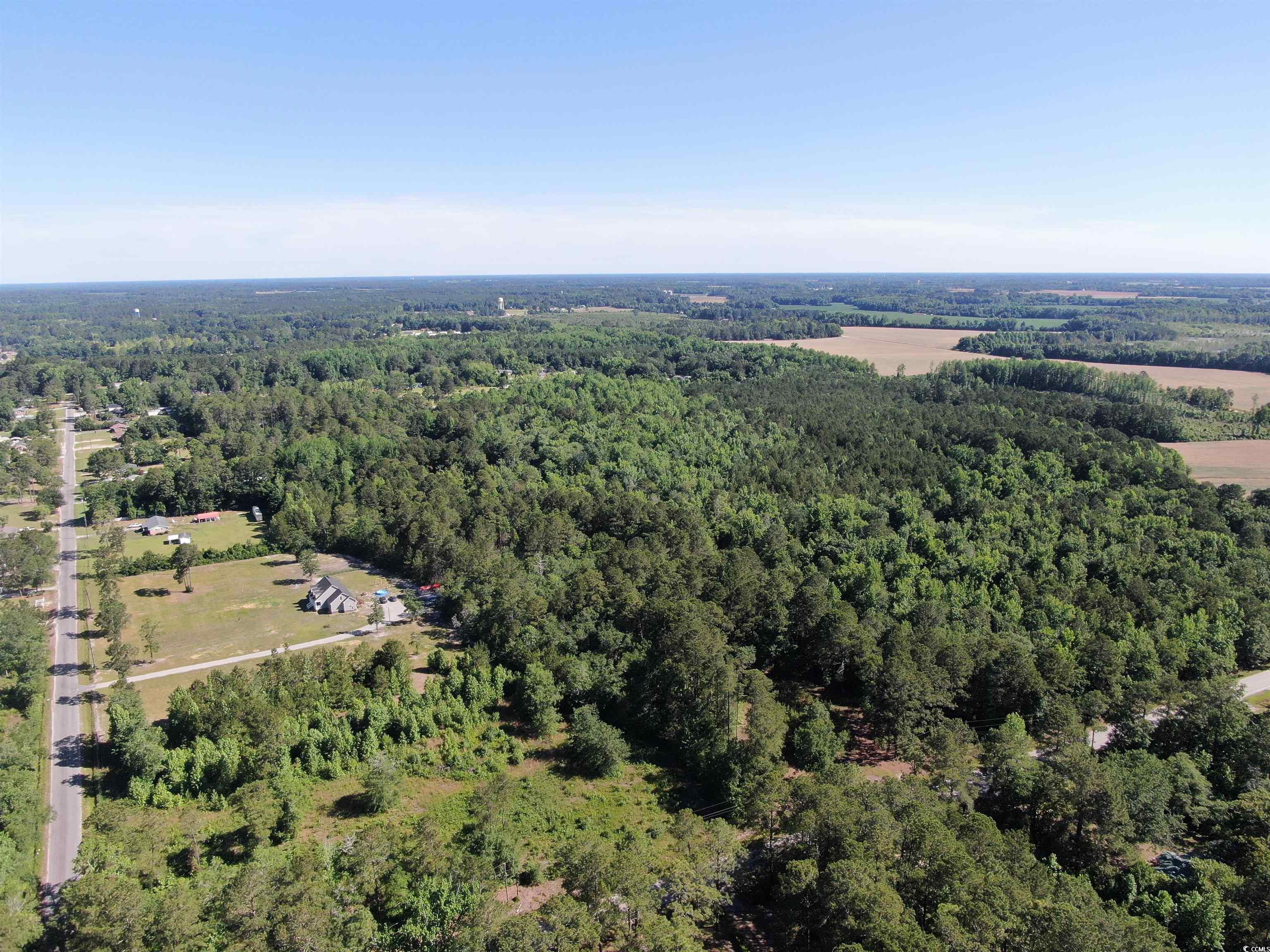 Tbd Tbd Carver Hall Road Dillon, SC 29536 - Photo 6 of 9 Aerial overview of property's location featuring a forest