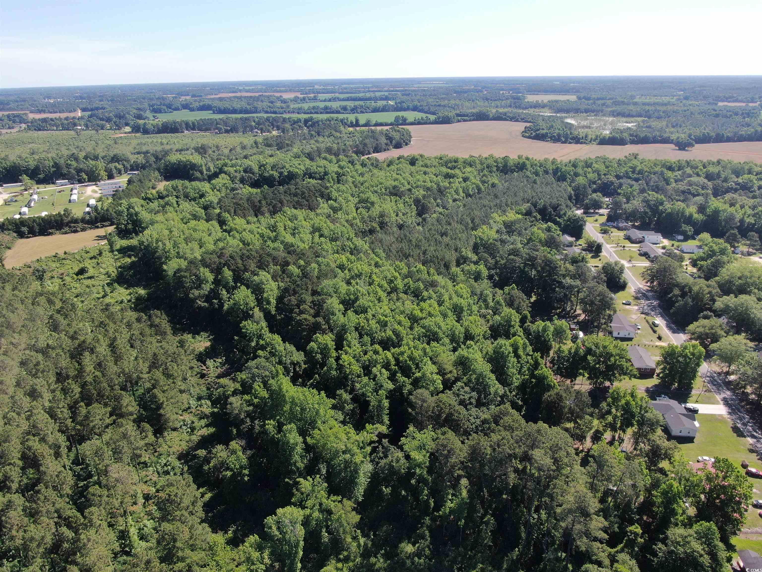 Tbd Tbd Carver Hall Road Dillon, SC 29536 - Photo 8 of 9 Aerial view of a forest