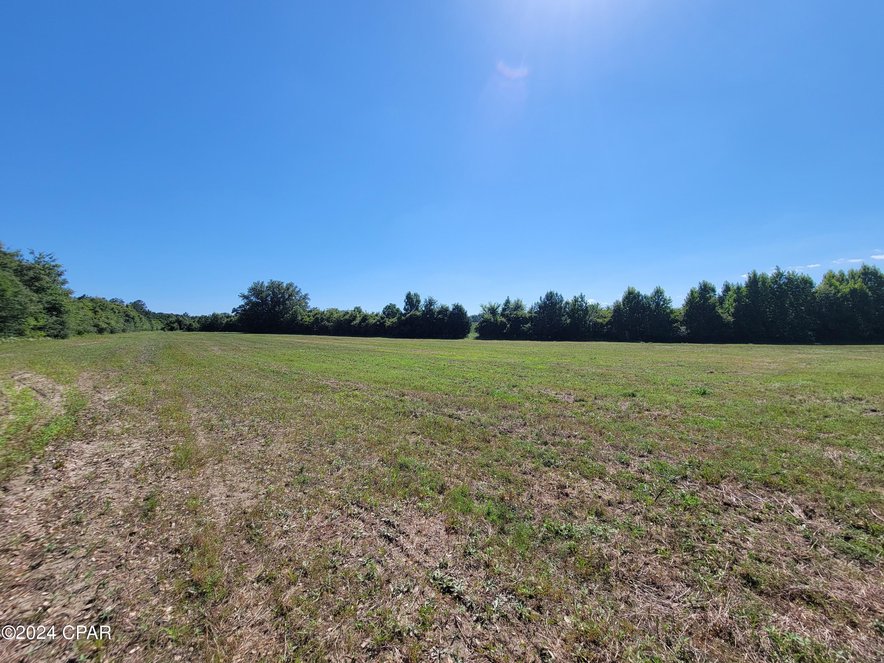 Lot 2 Bradley Road Westville, FL 32464 - Photo 7 of 11