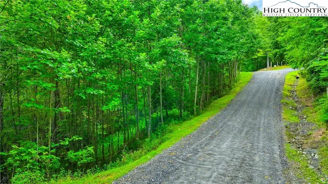 a view of a lush green outdoor space with a lake view