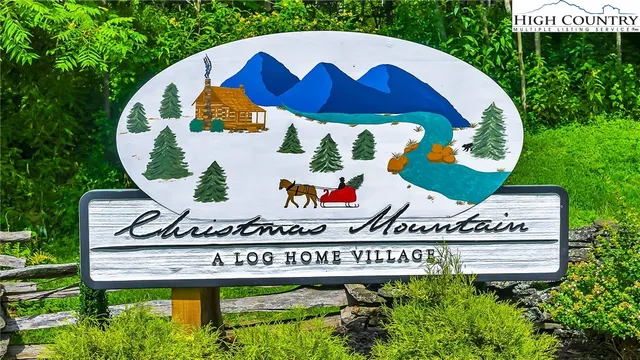 a view of a plant in a garden