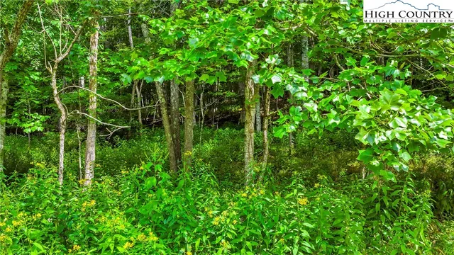 a view of a garden with a wooden deck
