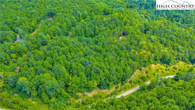 a view of a lush green forest