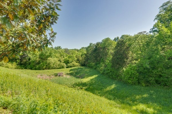 1990 Shaylin Loop Antioch, TN 37013 - Photo 20 of 20 a view of a green field with lots of bushes