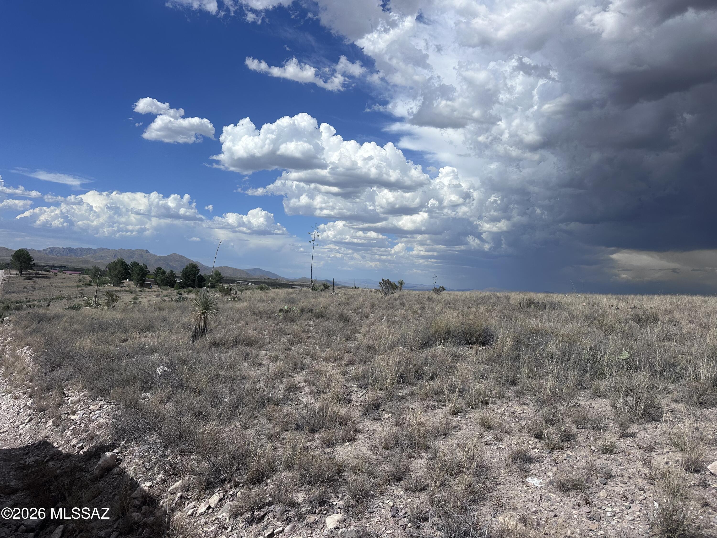 15255 South Lovell Road Benson, AZ 85602 - Photo 3 of 10 IMG_8575