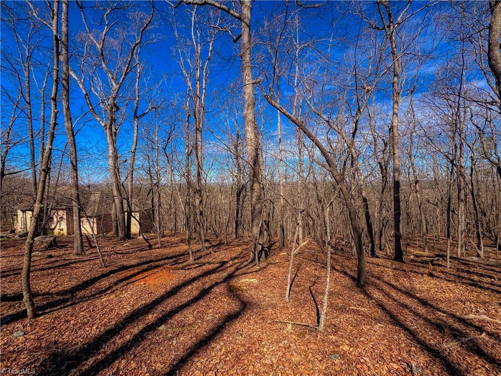 2171 Sierra Trace Road Denton, NC 27239 - Photo 5 of 34