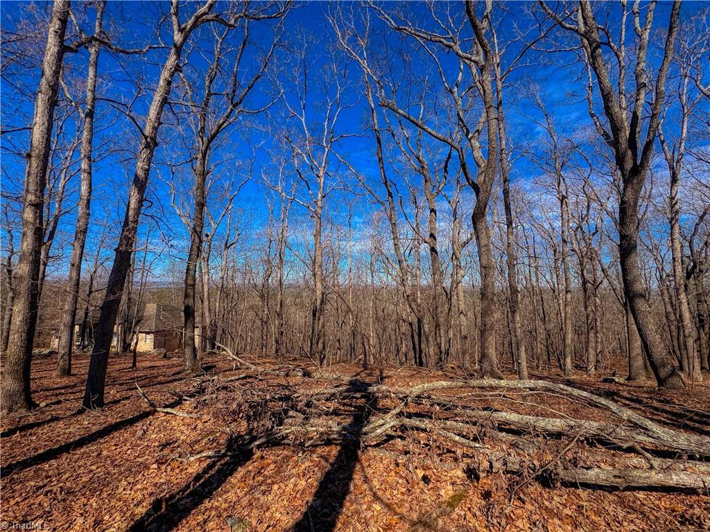 2171 Sierra Trace Road Denton, NC 27239 - Photo 6 of 34