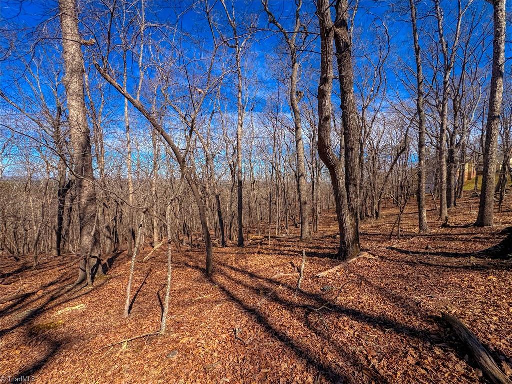 2171 Sierra Trace Road Denton, NC 27239 - Photo 7 of 34