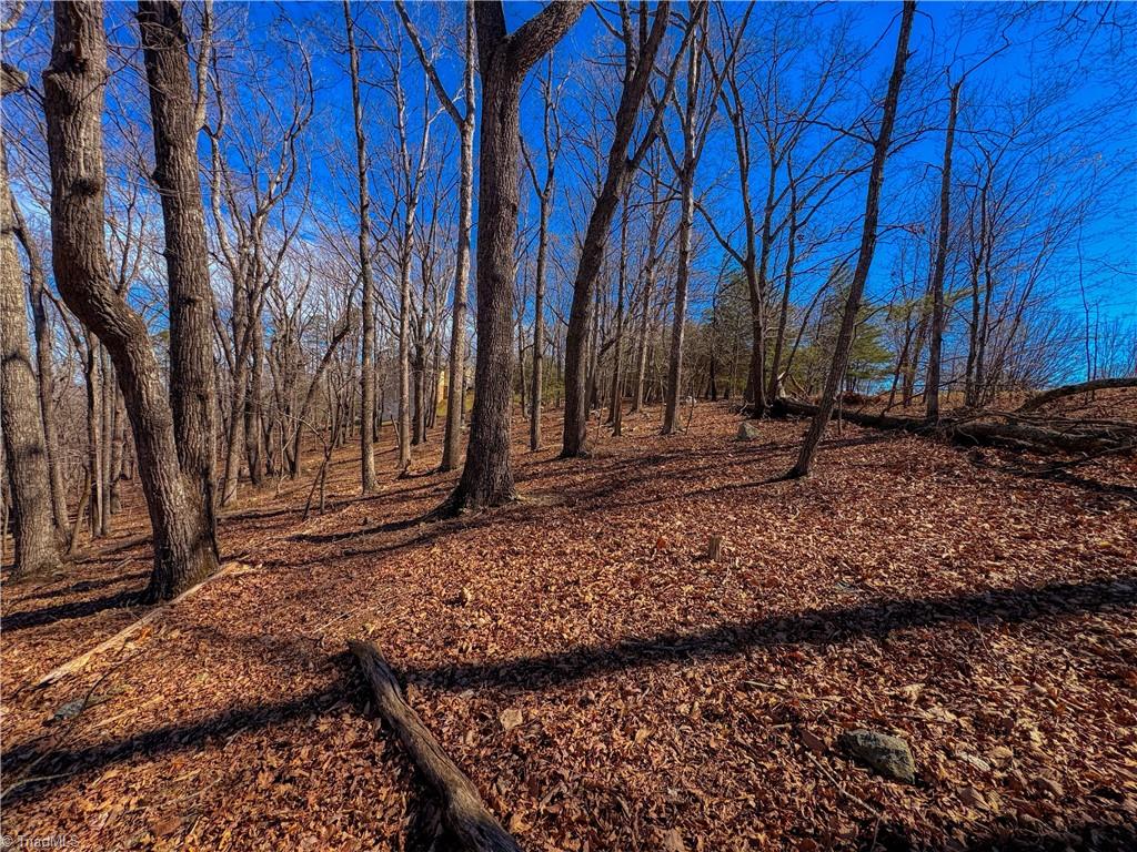 2171 Sierra Trace Road Denton, NC 27239 - Photo 8 of 34