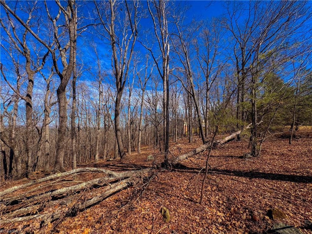 2171 Sierra Trace Road Denton, NC 27239 - Photo 10 of 34