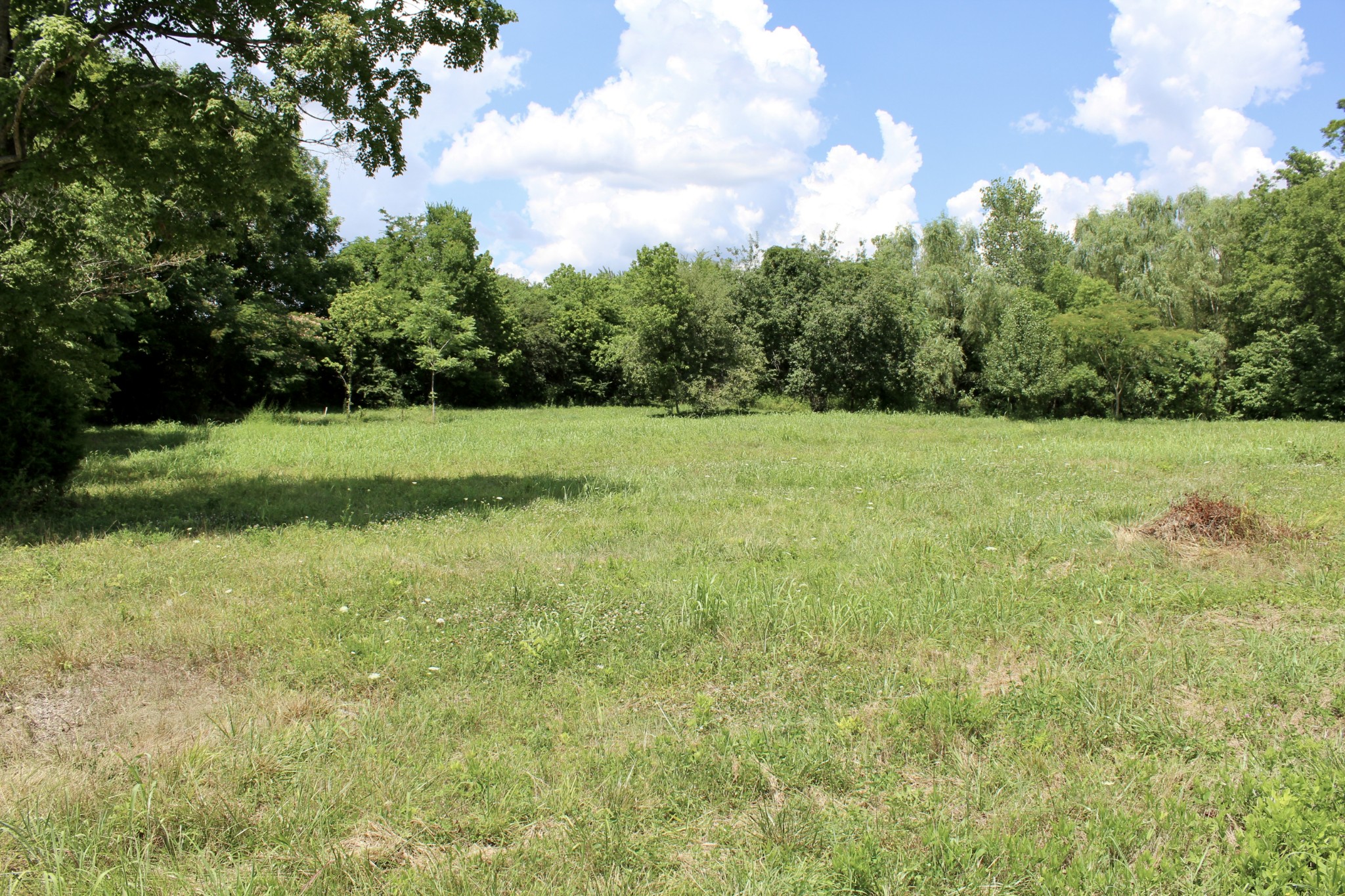 2344 Kinneys Road Cedar Hill, TN 37032 - Photo 2 of 6 a view of outdoor space and yard