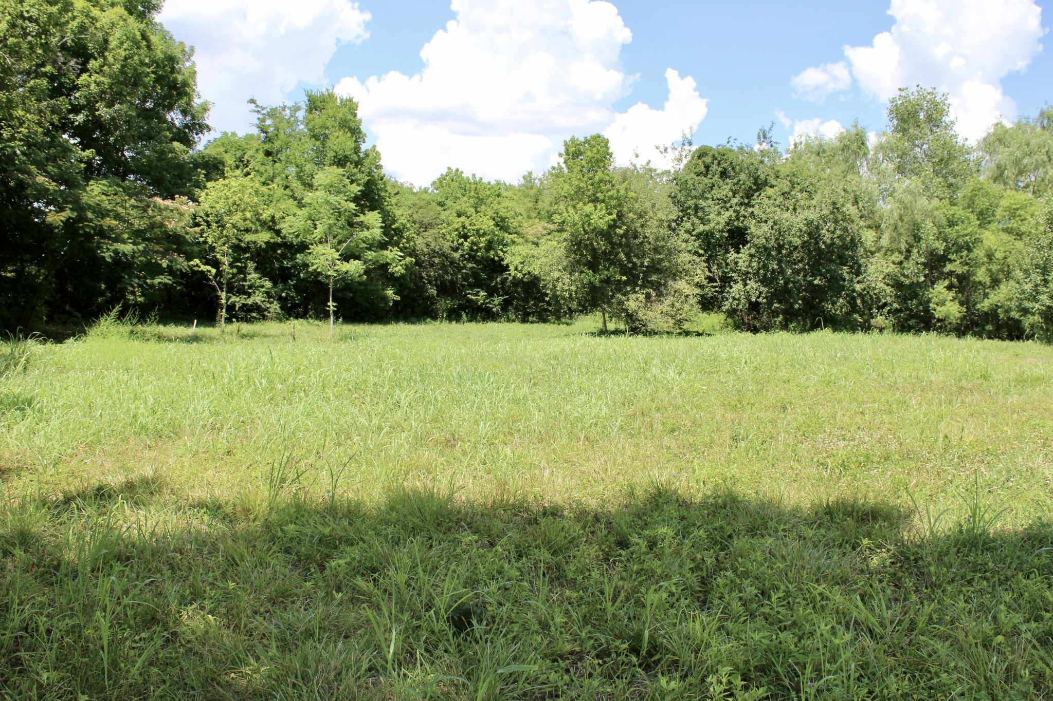 2344 Kinneys Road Cedar Hill, TN 37032 - Photo 4 of 6 a view of outdoor space and yard